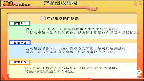 《魅力OL》网游融资计划书与推广策略